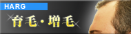 HARG療法