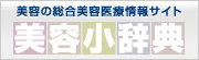 美容小辞典