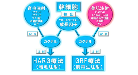 ビタミンカクテル